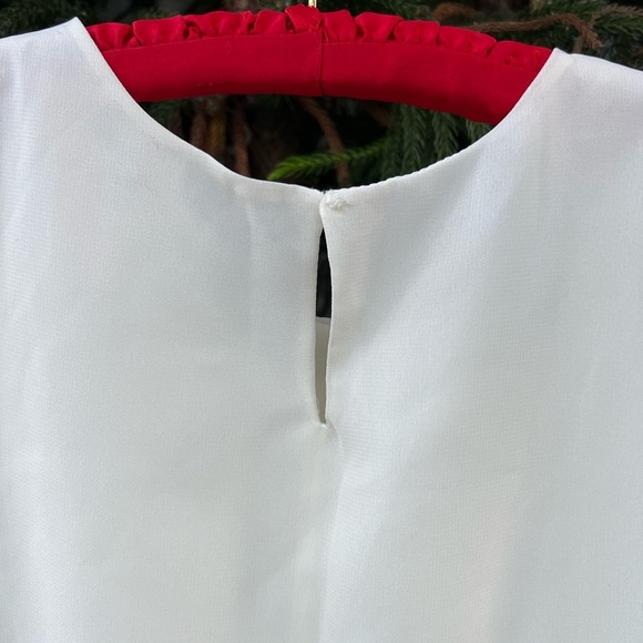 White Floral Embroidered Neckline Mini Shift Dress | Sleeveless & Silky | Small - Picture 6 of 9